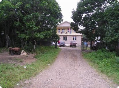 morskoj.jpg