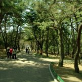 Парк Тхумули