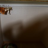 img_0966_resize.jpg