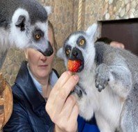 Зоосад + музей Автомотостарины (на Садгороде)