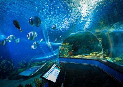 Приморский океанариум