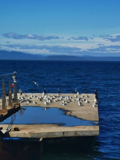 Обзорная экскурсия по Владивостоку