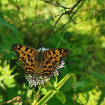 Путешествие в Приморский сафари-парк
